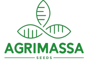 AGRI MASSA-SEED