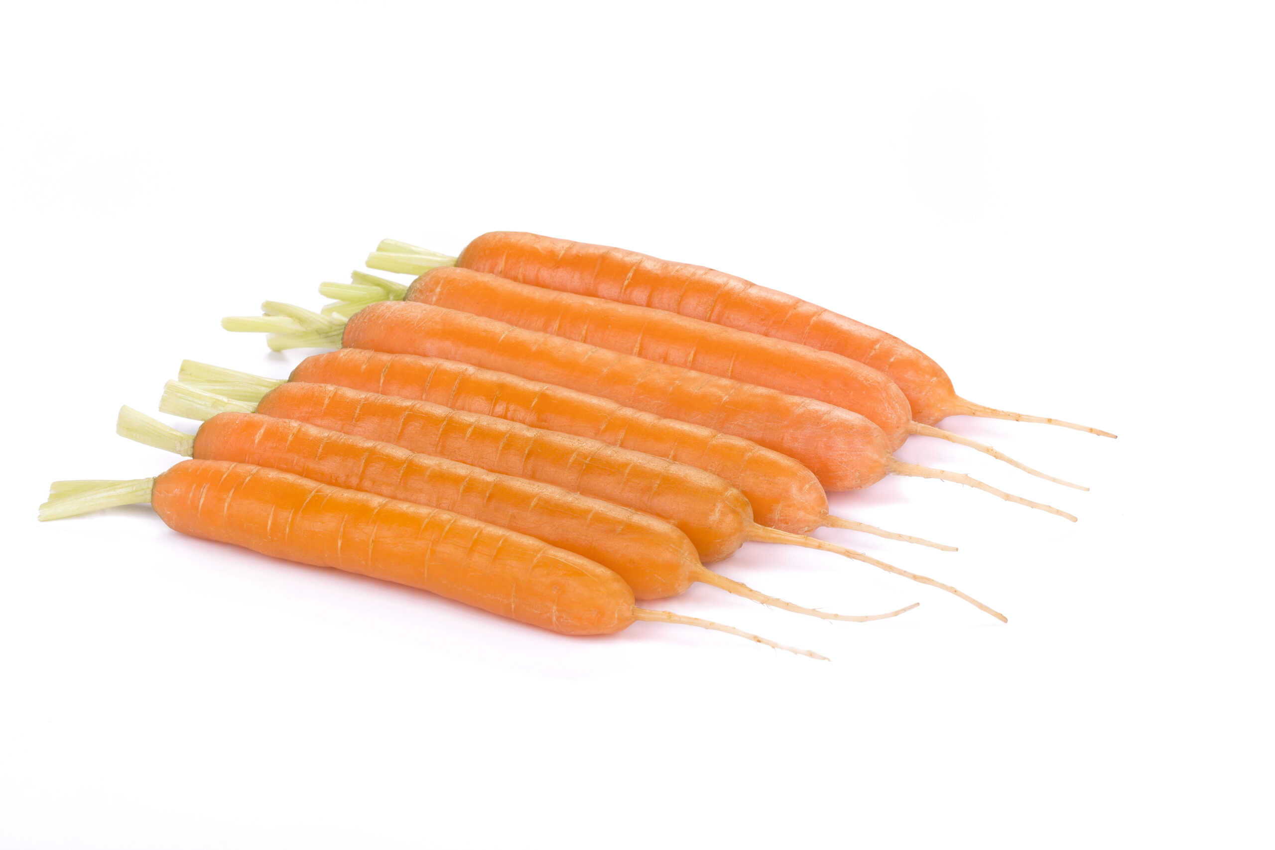 RZDE151008_003_Babycarrot_Crofton RZ