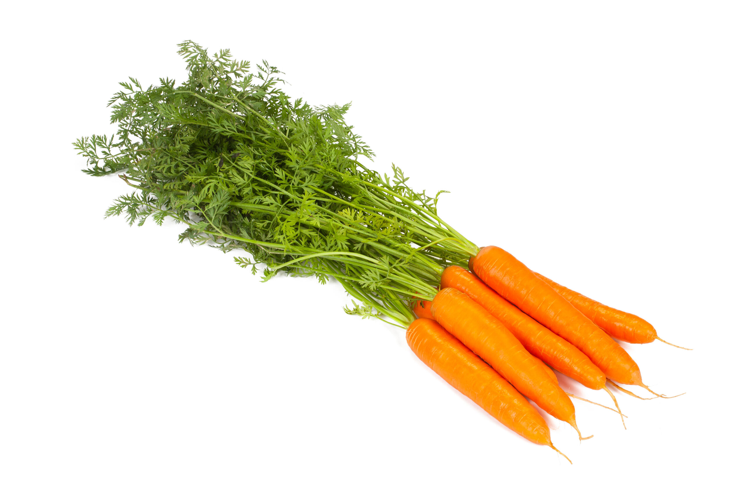 RZDE_160905001_Fidra_RZ